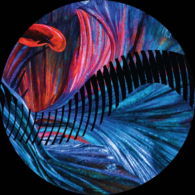 JamRat - Marble Grounds