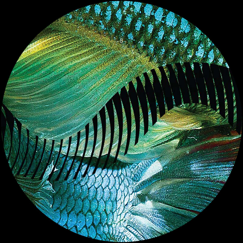 Gustavo Fridman - Dios Habla Hoy