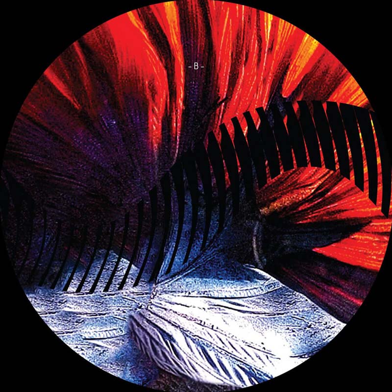 Kinjo - Marxian
